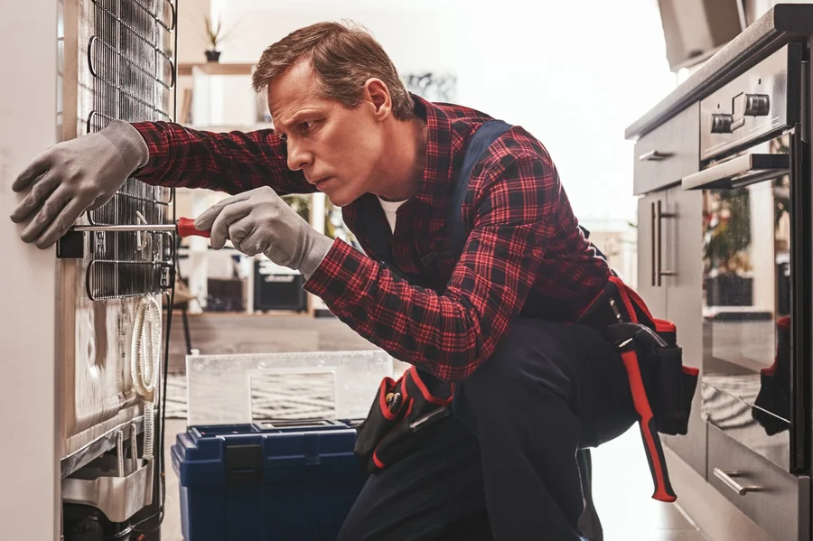 Freezer Services